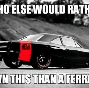 Meet your Posher, Riley